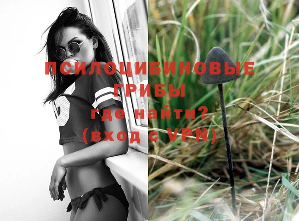 молекула духа Балахна