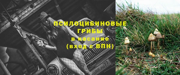 мяу мяу мука Балабаново
