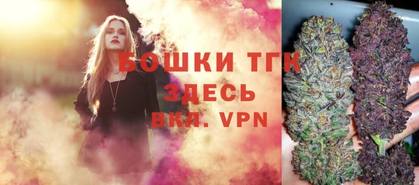 молекула духа Балахна