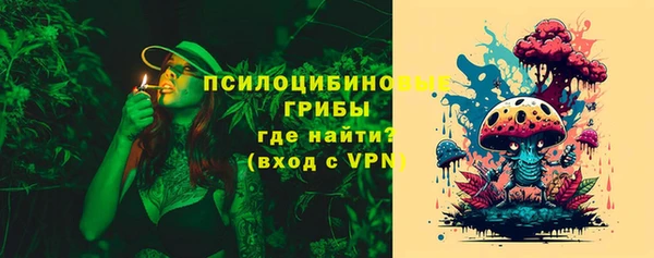 молекула духа Балахна