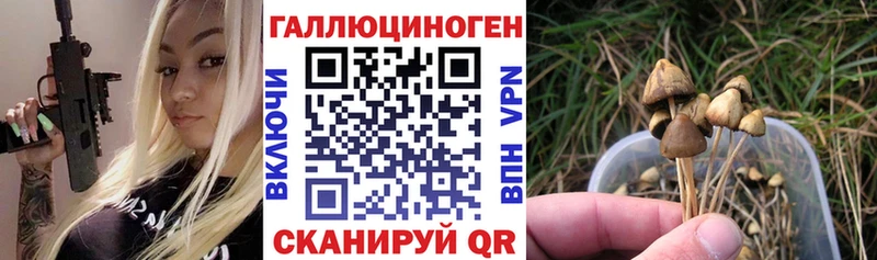 Галлюциногенные грибы прущие грибы  купить  сайты  darknet телеграм  Новая Ляля 