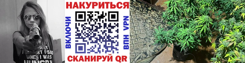 blacksprut ссылка  Новая Ляля  Шишки марихуана Bruce Banner 